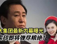 上港主席许家印驾亚冠球员出征比赛的简单介绍