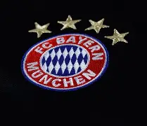 包含拜仁慕尼黑神奇逆袭，继续征战欧冠的词条