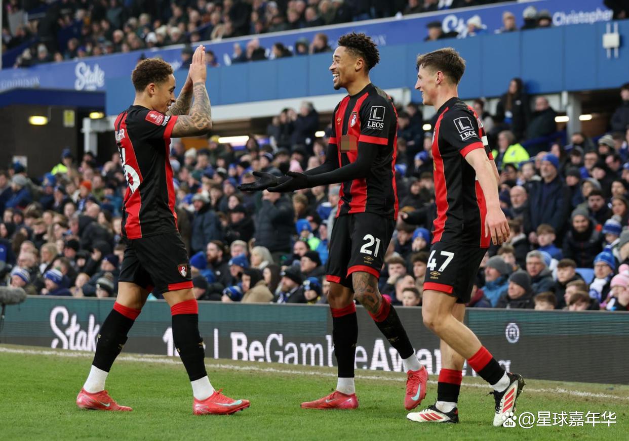 伯恩茅斯战胜南安普顿，保级路上迈出关键一步的简单介绍